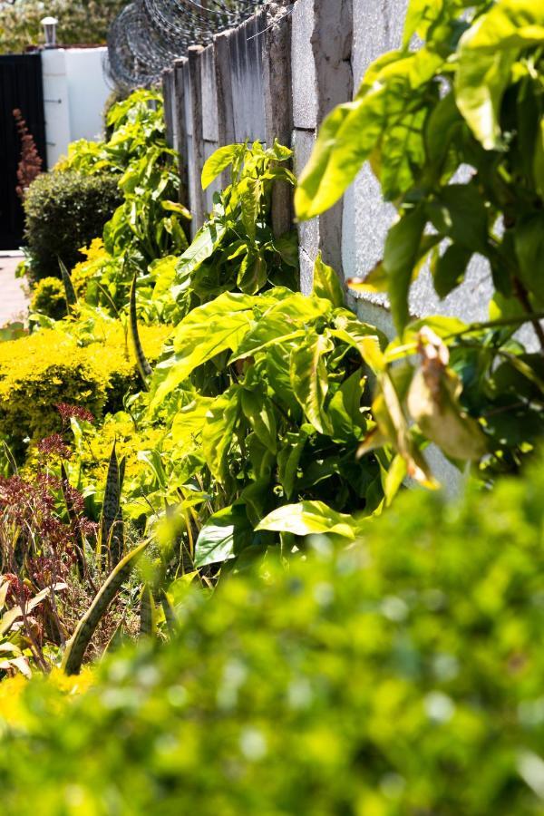 Kwampofu Guest House ฮาราเร ภายนอก รูปภาพ